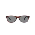 A-Z 0015L Brown Sunglasses