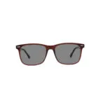 A-Z 0017B Brown Havana Sunglasses