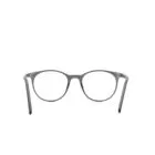 Back 69 Prescription Glasses