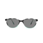 Classic Class 404 Green Sunglasses