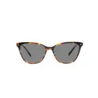 Einar 5730B Havana Sunglasses