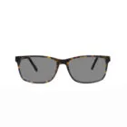 Brookland D76 Havana Sunglasses