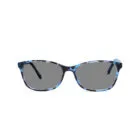 Brookland D83 Blue Demi Sunglasses