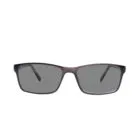 Carlson 07 Grey Sunglasses