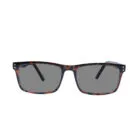 Carlson 05 Tort Sunglasses