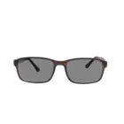 Classic 308 Brown Sunglasses