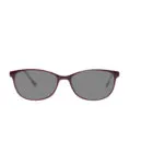 Brookstone 265 Purple Brown Sunglasses