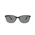 Carlson 24 Black Green Sunglasses