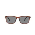 A-Z 0060F Brown Sunglasses