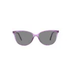 A-Z 335D Purple Sunglasses