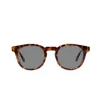 A-Z Icon 2165C Sunglasses