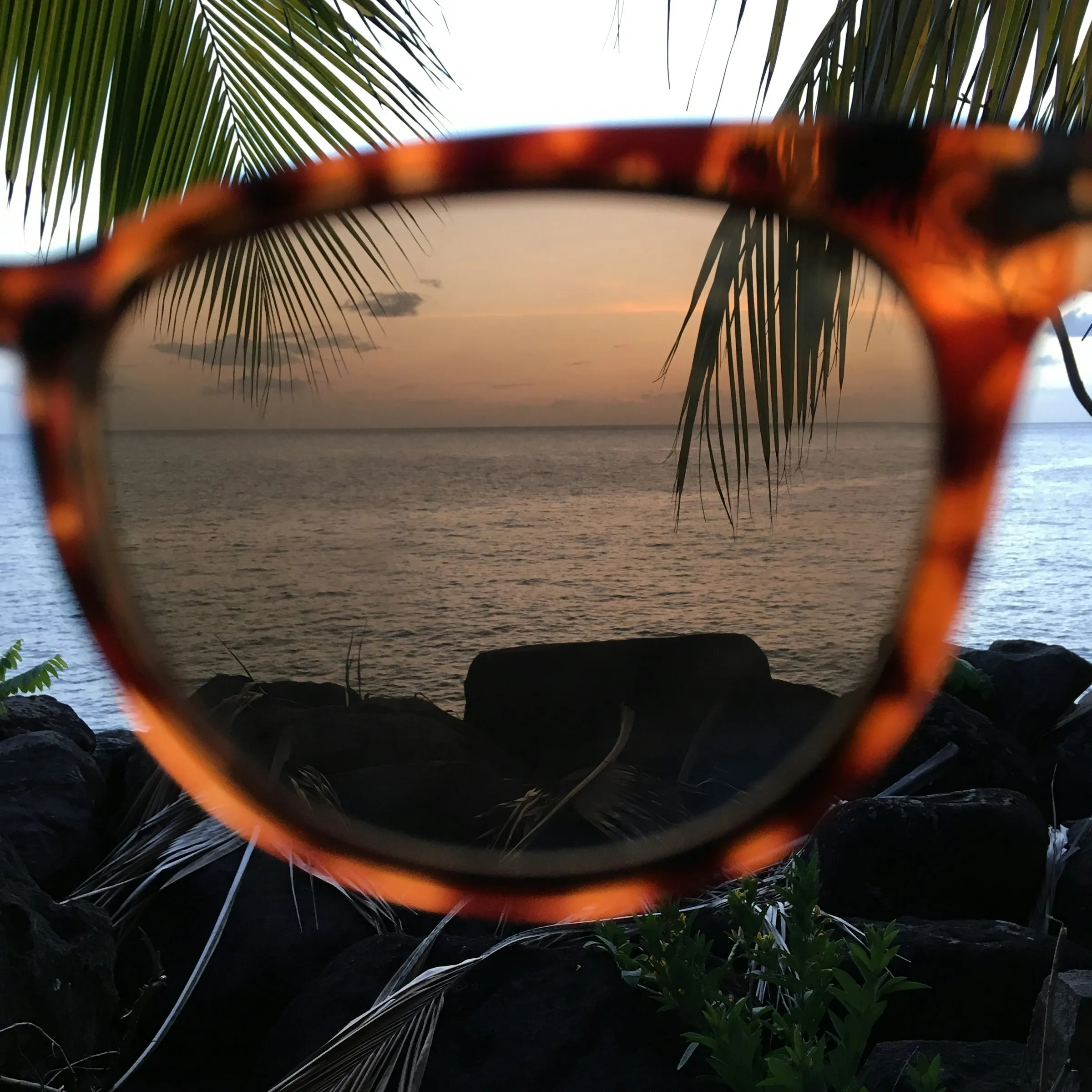 How to Buy Prescription Sunglasses