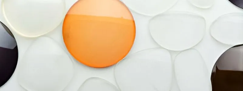 Types of Lenses for Glasses