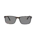 Delaney 139 Havana Sunglasses