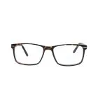 Delaney 139 Havana Glasses front