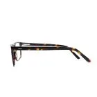 Delaney 139 Havana Glasses from the left side