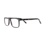 Delaney 139 Havana Glasses