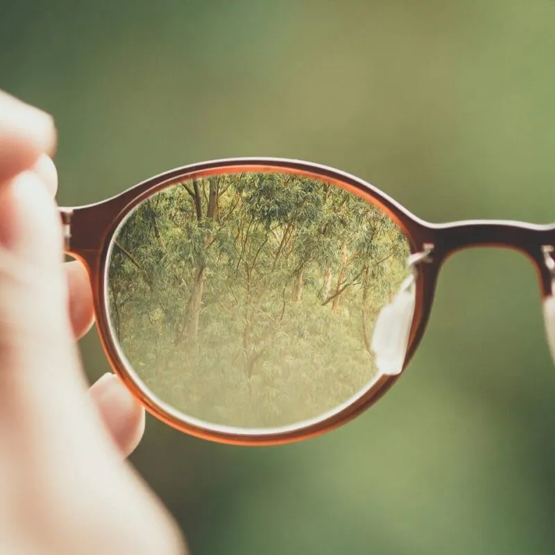 Single Vision Glasses