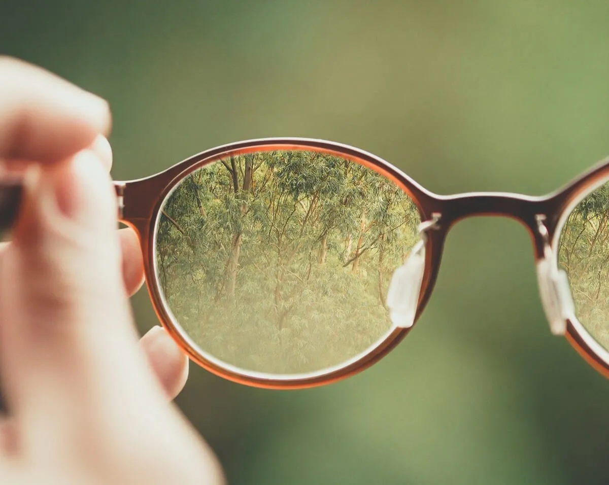 Single Vision Glasses
