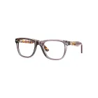 Planet Plus 01 C8 Glasses