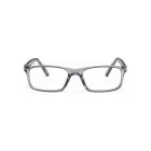 Bulldog BD06 Grey Glasses