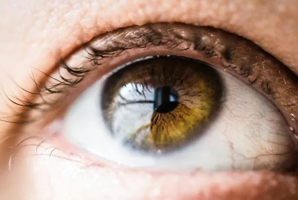 Why Regular Eye Tests Are Important