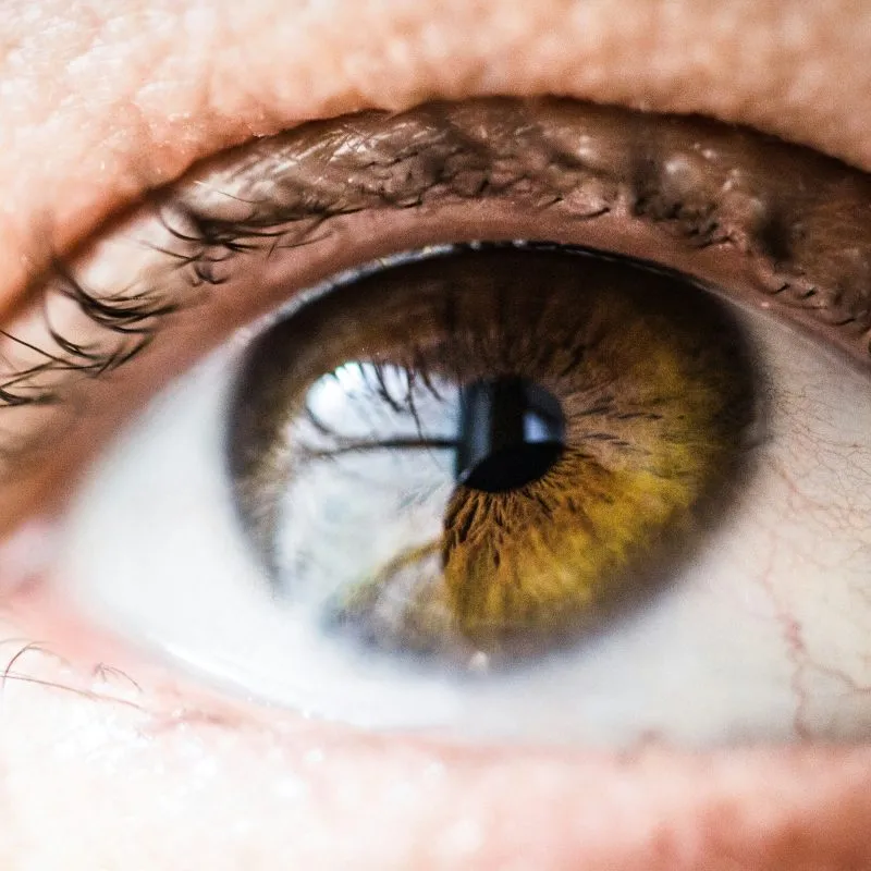 Why Regular Eye Tests Are Important