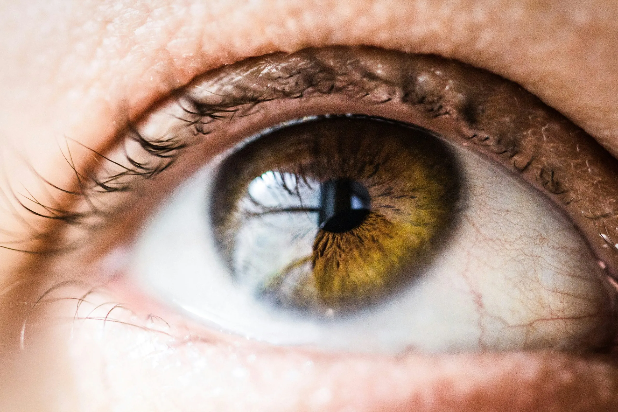 Why Regular Eye Tests Are Important