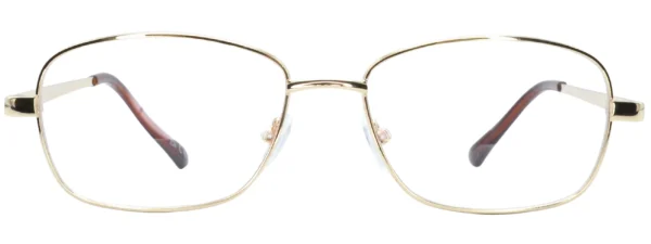 Bulldog BD01 Gold Glasses front