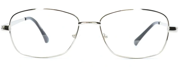 Bulldog BD01 Silver Glasses front