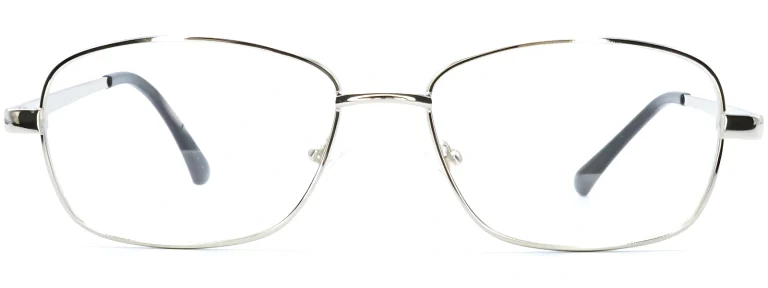 Bulldog BD01 Silver Glasses front