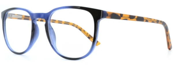 Ray-Ban RX8901 Demi Gloss Black side