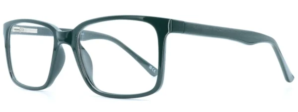 Heat HE2010 Green Glasses side