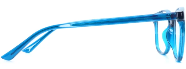 Own Label OL026 C1 Glasses Left Arm