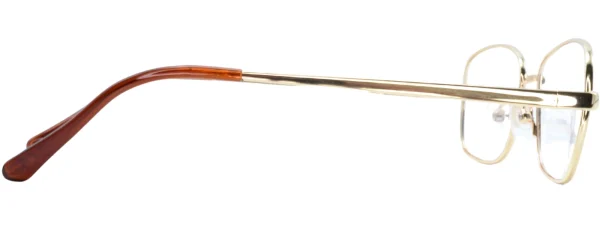 Bulldog BD01 Gold Glasses left arm