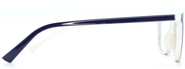 Planet Plus 17 C3 Glasses Left Arm