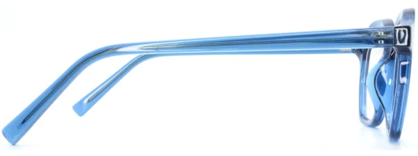 Planet 79 C1 Glasses Left Arm