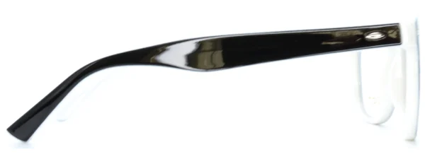 Planet Plus 01 C6 Glasses Left Arm