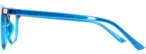 Own Label OL026 C1 Glasses Right Arm