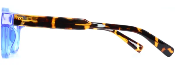 Planet 80 C1 Glasses Right Arm