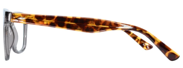 Planet Plus 01 C8 Glasses Right Arm