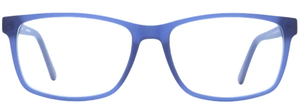 Brookland D76 Blue Glasses