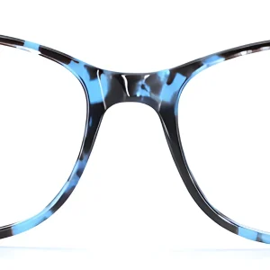 Brookland D83 Blue Glasses