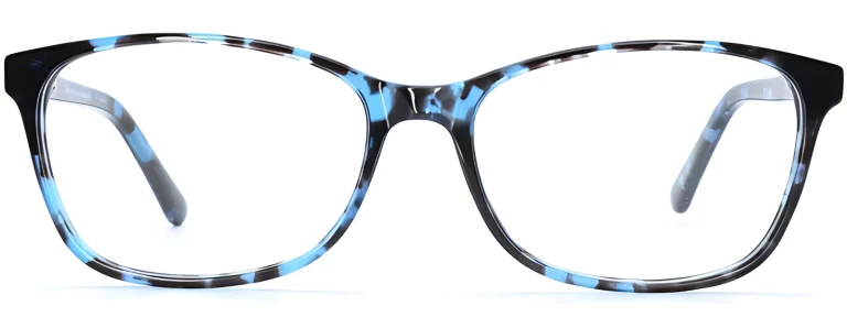Brookland D83 Blue Glasses