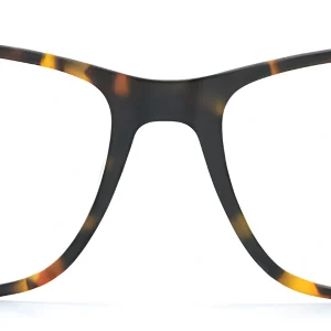 Brookland D76 Havana Glasses