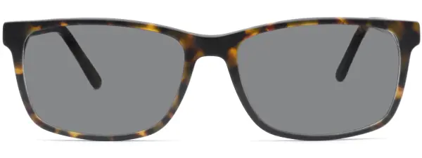 Brookland D76 Havana Sunglasses