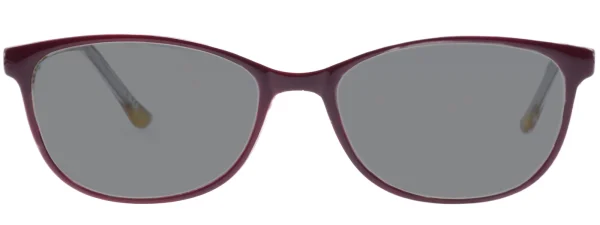 Brookstone 265 Purple Brown Sunglasses
