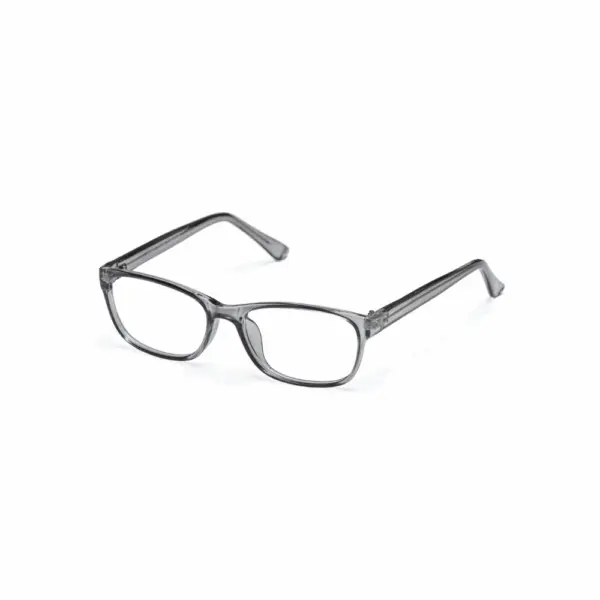 Bulldog BD04 Grey Glasses - Image 2