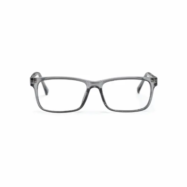 Bulldog BD05 Grey Glasses