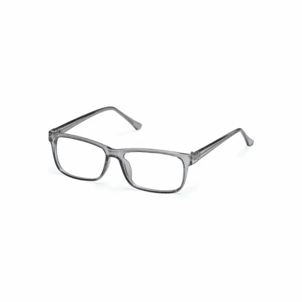 Bulldog BD05 Grey Glasses - Image 2